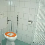 Gartenapartment Apartment *