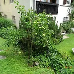 Apartment Gartenapartment *