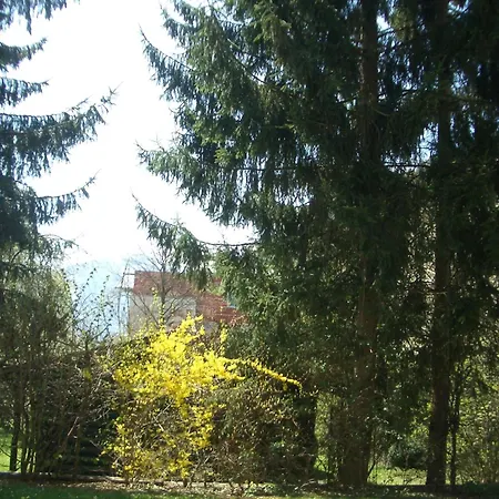 Apartament Gartenapartment