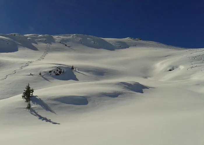 Διαμέρισμα Gartenapartment