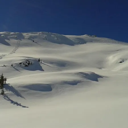 아파트 Gartenapartment